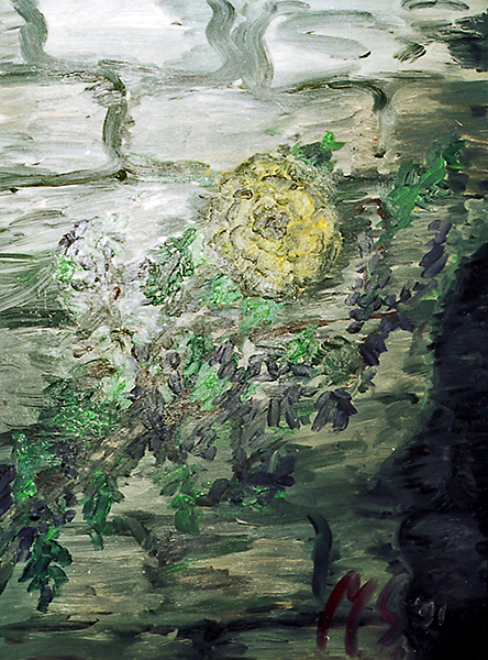 Plants: image 8 0f 12 thumb